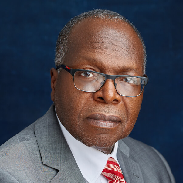 Mr. Godwin Ize-Iyamu-Non-Executive Director-FSDH Merchant Bank